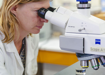 Лаборатории