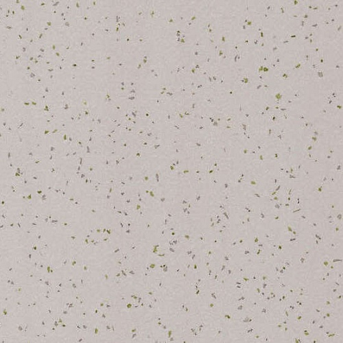 Taralay Element Compact