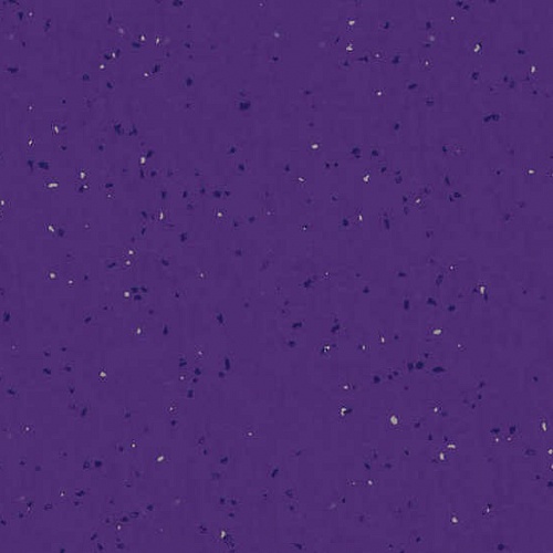 Taralay Element Compact