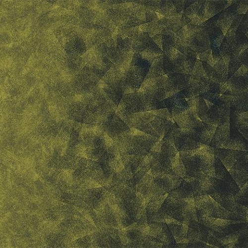 Flotex by Starck Artist