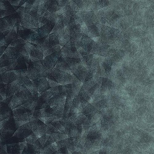 Flotex by Starck Artist