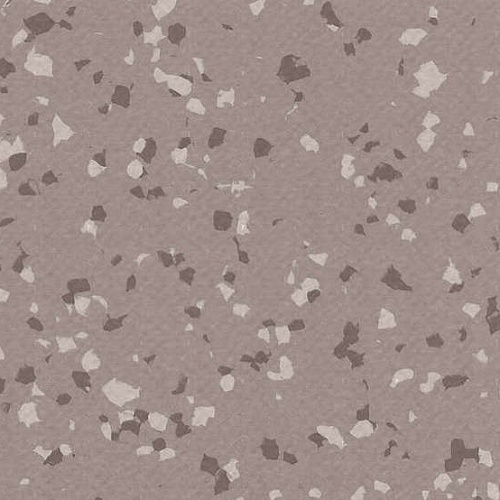 Taralay Premium Compact