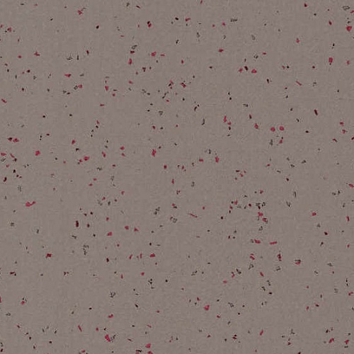 Taralay Element Compact