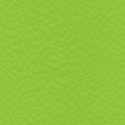 Taraflex™ Evolution