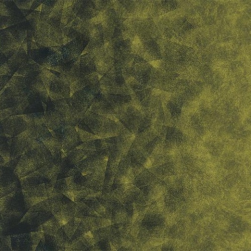 Flotex by Starck Artist