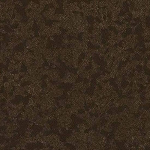 Taralay Premium Compact