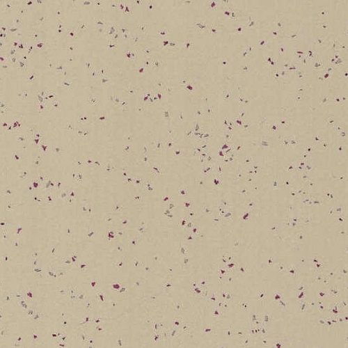 Taralay Element Compact