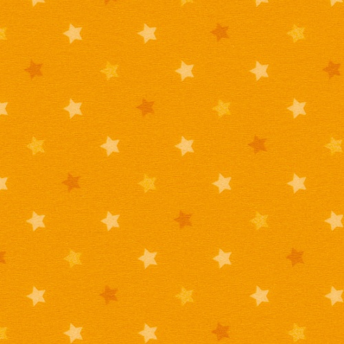 Taralay Impression Compact