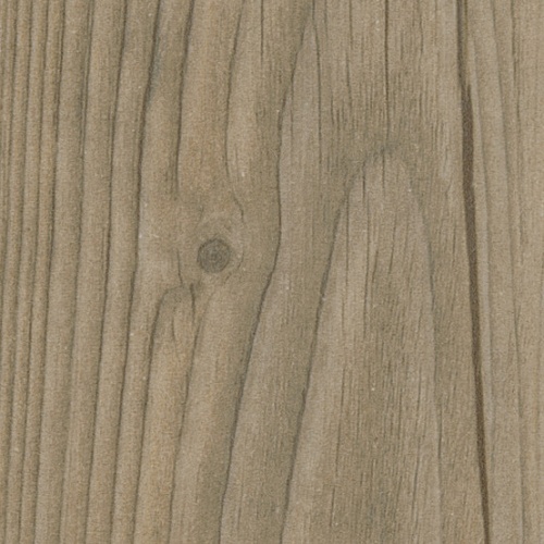 Taralay Impression Compact