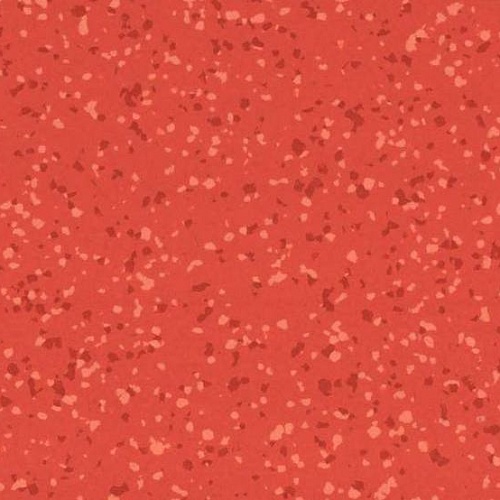 Taralay Premium Compact