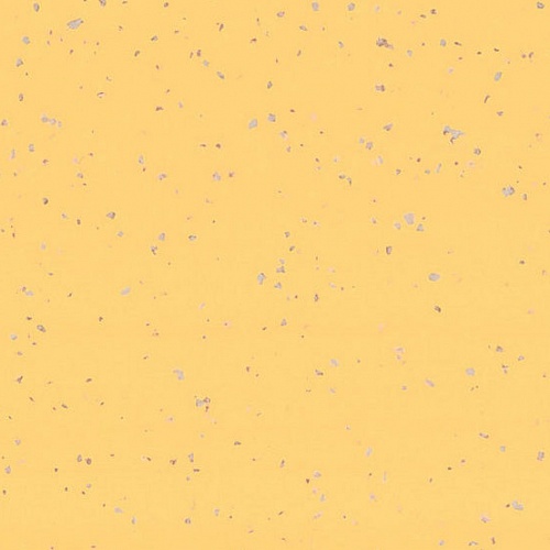 Taralay Premium Compact