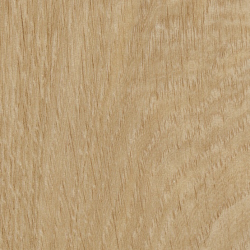 Taralay Impression Compact