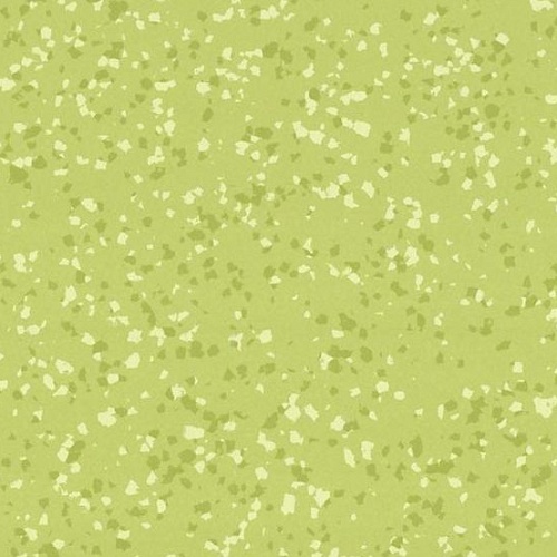 Taralay Premium Compact