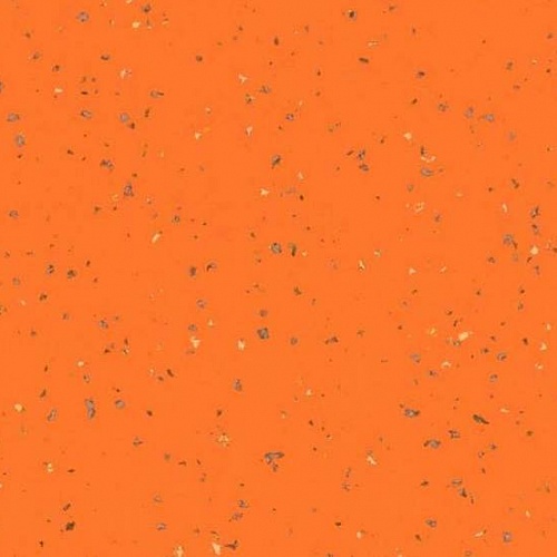 Taralay Premium Compact