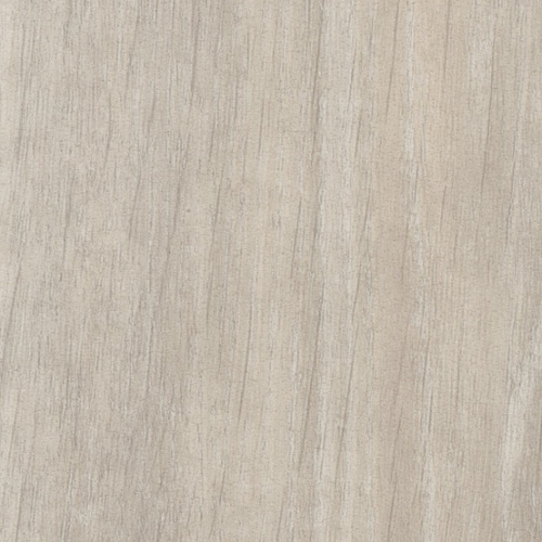 Taralay Impression Compact