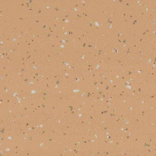 Taralay Premium Compact