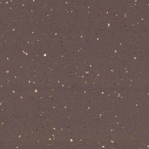 Taralay Premium Compact