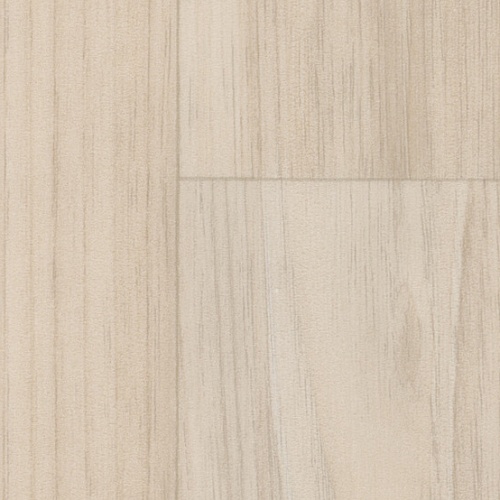 Taralay Impression Compact