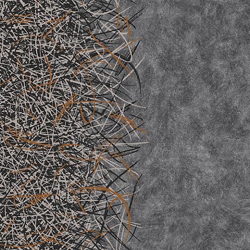 Flotex by Starck Vortex