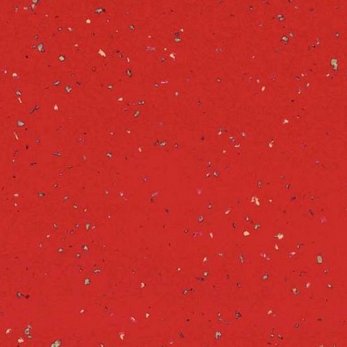 Taralay Premium Compact