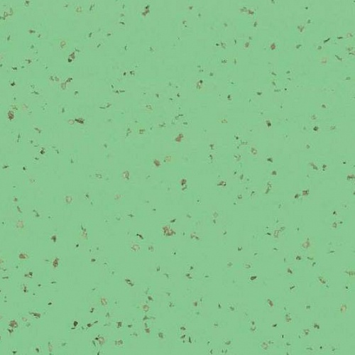 Taralay Premium Compact