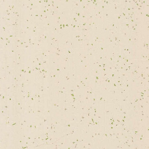 Taralay Element Compact