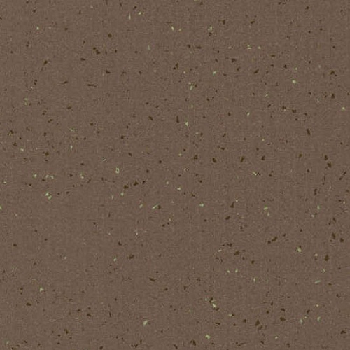 Taralay Element Compact