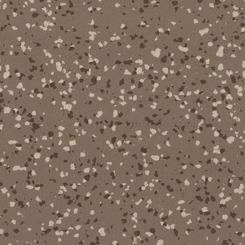 Taralay Premium Compact