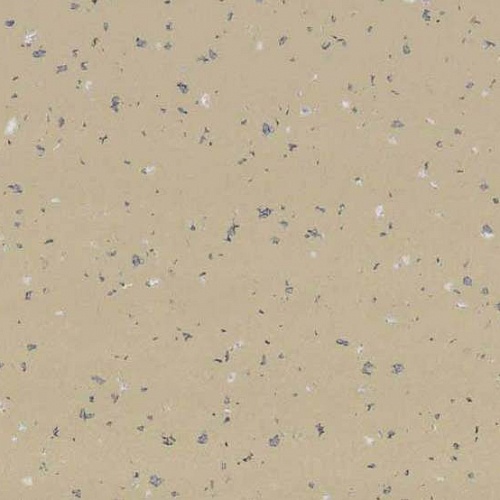 Taralay Premium Compact