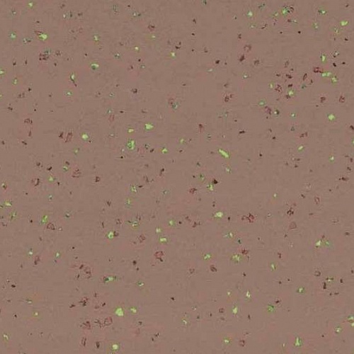 Taralay Premium Compact