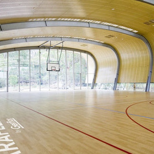 Taraflex™ Evolution