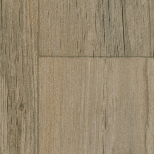 Taralay Impression Compact