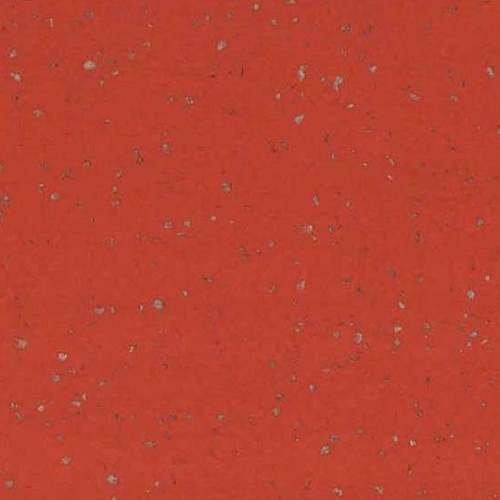 Taralay Premium Compact