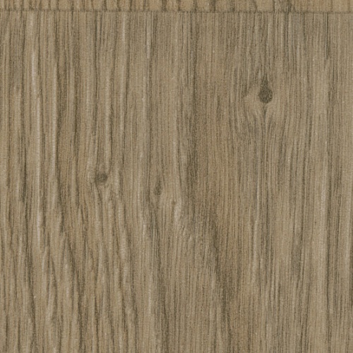 Taralay Impression Compact