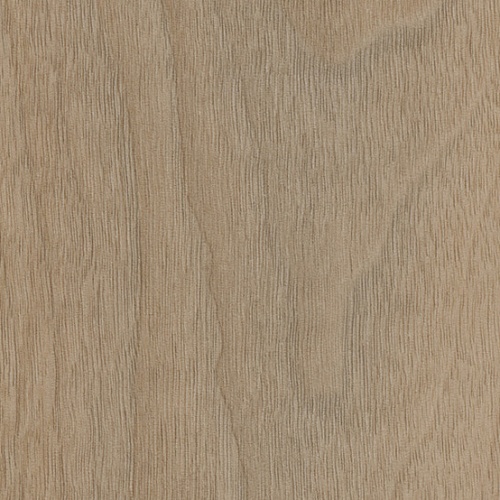 Taralay Impression Compact