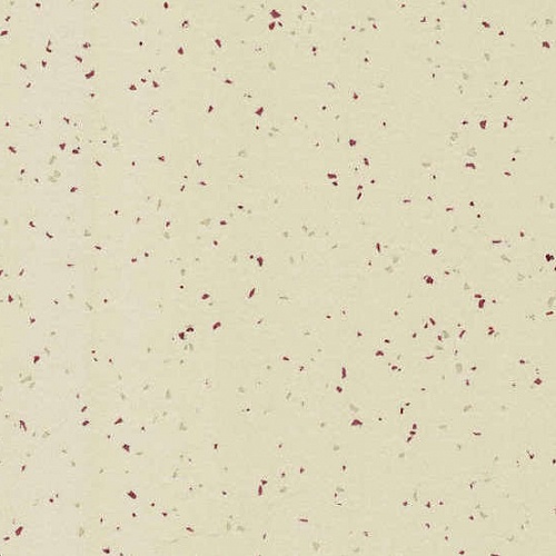 Taralay Element Compact