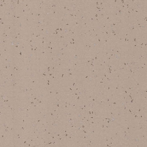 Taralay Element Compact