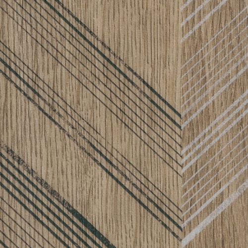 Taralay Impression Compact