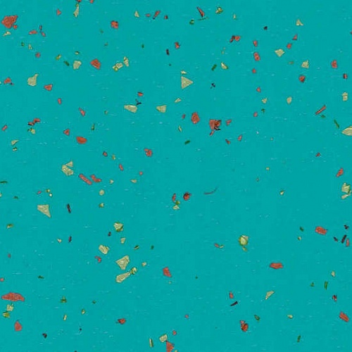 Taralay Premium Compact