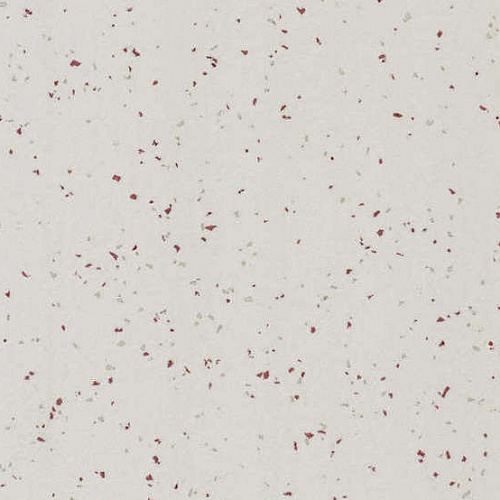 Taralay Element Compact