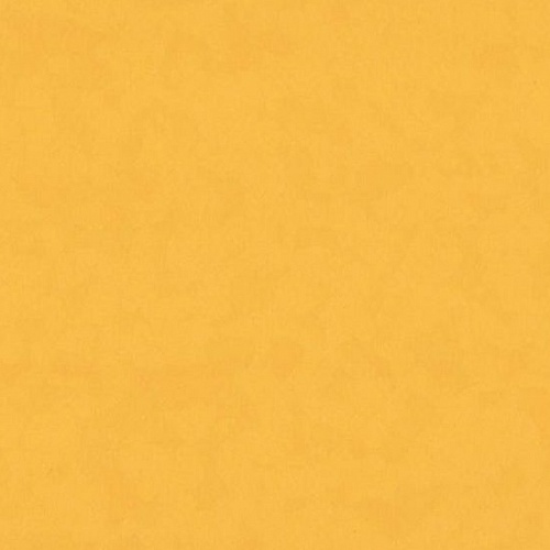 Taralay Premium Compact