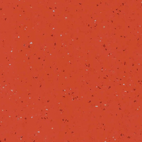 Taralay Element Compact