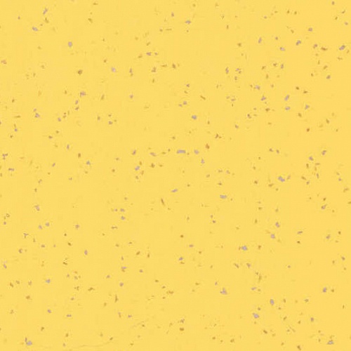 Taralay Element Compact