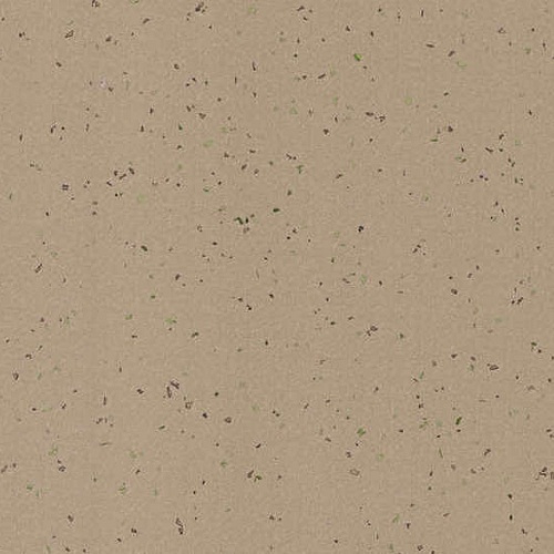 Taralay Element Compact