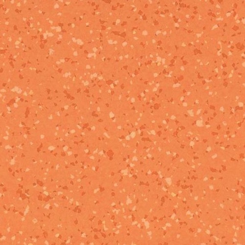 Taralay Premium Compact